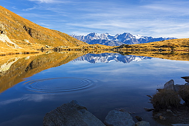 Peaks of Bernina Group reflected in the blue Lago Arcoglio during autumn, Valmalenco, Valtellina, Lombardy, Italy, Europe