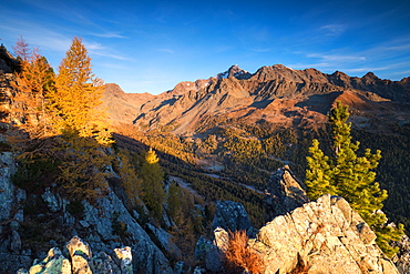 Monte Disgrazia Corni Bruciati and Valle Airale seen from Sasso Bianco in autumn, Valmalenco, Valtellina, Lombardy, Italy, Europe