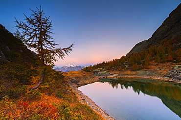 Sunrise on Lakes of Campagneda during autumn, Valmalenco, Valtellina, Sondrio province, Lombardy, Italy, Europe