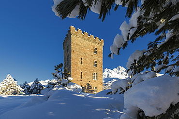 Snow covered trees around Belvedere Tower, Maloja Pass, Bregaglia Valley, Engadine, Canton of Graubunden, Switzerland, Europe