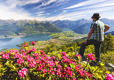 Man beside rhododendrons in bloom looks towards Lake Como and Alto Lario, Monte Legnoncino, Lecco province, Lombardy, Italy, Europe