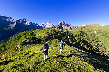 Hikers walk towards Monte Disgrazia from Scermendone Alp, Sondrio province, Valtellina, Rhaetian Alps, Lombardy, Italy, Europe