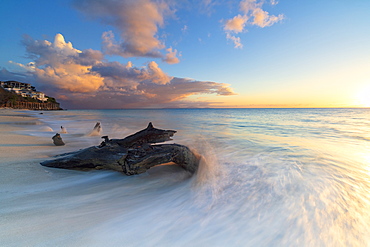 Tree trunk on Ffryes Beach at sunset, Antigua, Antigua and Barbuda, Leeward Islands, West Indies, Caribbean, Central America