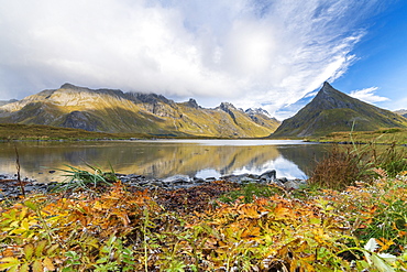 Autumn leaves by sea below mountains in Fredvang, Lofoten Islands, Norway, Europe