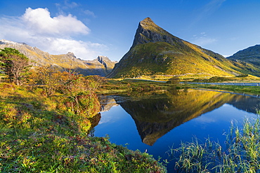 Volanstinden mountain above fjord in Fredvang, Lofoten Islands, Norway, Europe