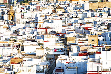 View from Torre Tavira of white houses in Cadiz, Spain, Europe