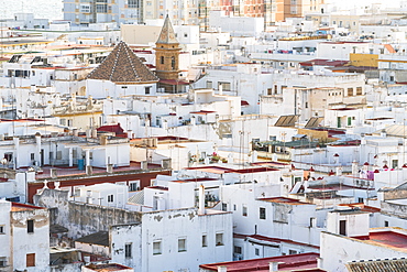 View from Torre Tavira of white houses in Cadiz, Spain, Europe