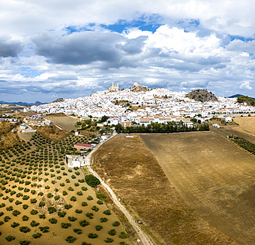 Olive groves by white town of Olvera in Spain, Europe