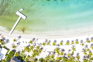 Aerial view by drone of beach umbrellas on tropical palm-fringed beach washed by Caribbean Sea, Antilles, West Indies, Caribbean, Central America