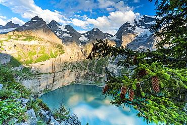 Trees and pine cones framing Oeschinensee lake at sunset, Bernese Oberland, Kandersteg, Canton of Bern, Switzerland, Europe