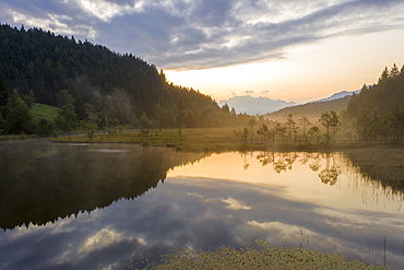 Aerial view of the misty sunrise over swamp of Pian di Gembro Nature Reserve, Aprica, Sondrio, Valtellina, Lombardy, Italy, Europe