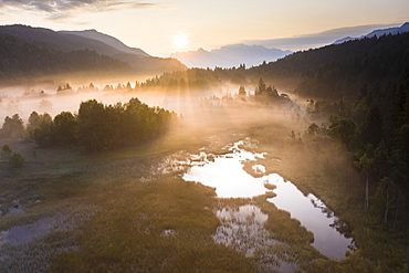 Fog at sunrise over the swamp of Pian di Gembro Nature Reserve, aerial view, Aprica, Valtellina, Lombardy, Italy, Europe