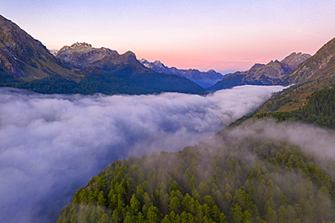 Foggy sunrise over woods of Maloja Pass at dawn, aerial view by drone, Engadine, Canton of Graubunden, Switzerland, Europe