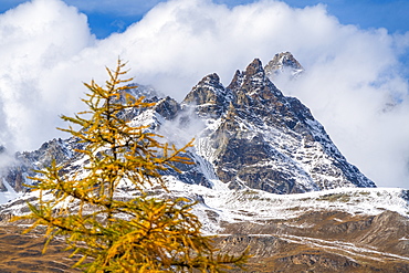 Clouds over the Ober Gabelhorn peak framed by larch trees in autumn, Zermatt, canton of Valais, Swiss Alps, Switzerland, Europe