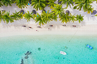 Tourists riding horses on palm-fringed beach, aerial view, Le Morne Brabant peninsula, Black River, Mauritius, Indian Ocean, Africa