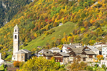 Larch trees and woods framing the village of Soglio in autumn, Val Bregaglia, Canton of Graubunden, Switzerland, Europe