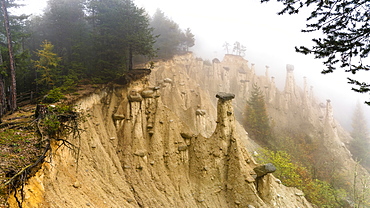 Earth Pyramids and woods in the autumn mist, Perca (Percha), province of Bolzano, South Tyrol, Italy, Europe