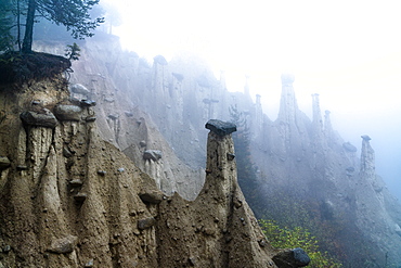 Fog over the Earth Pyramids, Perca (Percha), province of Bolzano, South Tyrol, Italy, Europe