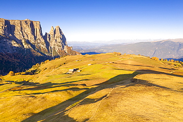 Aerial view by drone of autumn colors at Alpe di Siusi (Seiser Alm) and Sciliar peaks lit by sunrise, Dolomites, South Tyrol, Italy, Europe