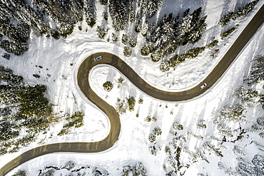 View by drone of scenic winding road connecting Antorno and Misurina along snowy woods, Dolomites, Belluno province, Veneto, Italy, Europe