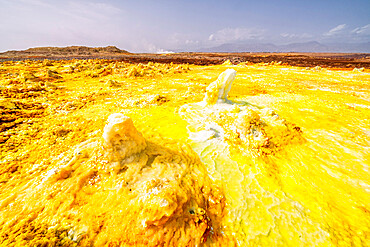 Yellow acid sulphur sediments in the thermal area of Dallol, Danakil Depression, Afar Region, Ethiopia, Africa