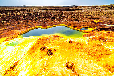 Sulphur acid hot springs, Dallol, Danakil Depression, Afar Region, Ethiopia, Africa