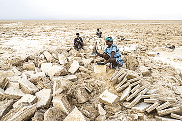 Miners working hard in the salt flat, Danakil Depression, Afar Region, Ethiopia, Africa