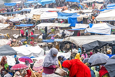 Muslim women at Bati market, Amhara Region, Oromia, Ethiopia, Africa