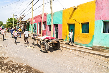 Donkey drawing a cart in the village of Asaita, Afar Region, Ethiopia, Africa