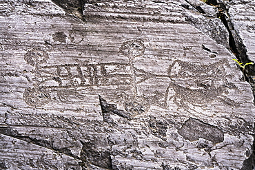 Rock engraving of four wheeled cart pulled by oxen, Naquane National Park, Capo di Ponte, Valcamonica (Val Camonica), Brescia province, Lombardy, Italy, Europe