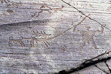 Hunting scene with deer, dog and hunter, Etruscan rock drawing, Naquane Park, Capo di Ponte, Valcamonica (Val Camonica), Lombardy, Italy, Europe