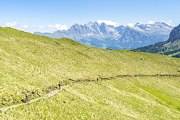 Mountain bikes and hikers on path at Duron Pass with the Odle group in background, Dolomites, Trentino-Alto Adige, Italy, Europe