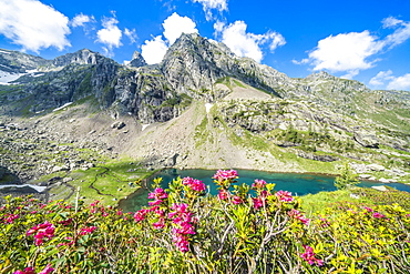 Summer sky over mountain peaks and rhododendrons framing lake Zancone, Orobie Alps, Valgerola, Valtellina, Lombardy, Italy, Europe