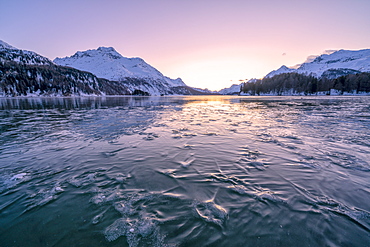 Tree branches trapped in ice under the frozen surface of Lake Sils at sunset, Engadine, Graubunden canton, Switzerland, Europe