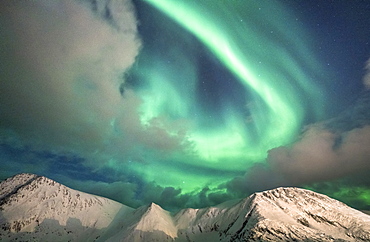 Northern Lights (Aurora Borealis) over mountain peaks covered with snow, Sorvaer, Soroya Island, Hasvik, Troms og Finnmark, Norway, Scandinavia, Europe