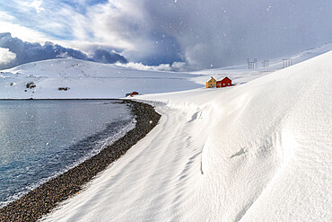 Snowfall on the lone wood houses facing the Arctic sea, Skarsvag, Nordkapp, Troms og Finnmark, Northern Norway, Scandinavia, Europe