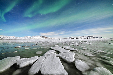 Ice blocks in the frozen Arctic sea lit by Northern Lights (Aurora Borealis), Tanamunningen Nature Reserve, Leirpollen, Troms og Finnmark, Norway, Scandinavia, Europe