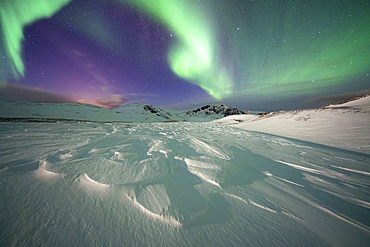 Frozen snow lit by green lights of the Northern Lights (Aurora Borealis) in the cold Arctic night, Mageroya island, Nordkapp, Troms og Finnmark, Norway, Scandinavia, Europe