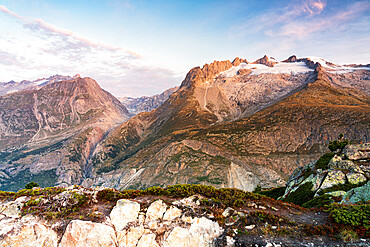 Gross Fusshorn, Rotstock and Geisshorn mountains at dawn from Hohfluh lookout, Riederalp, Bernese Alps, Valais, Switzerland, Europe