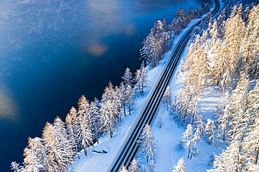 Empty road crossing the winter forest covered with snow beside Lake Sils, aerial view, Engadine, Graubunden Canton, Switzerland, Europe