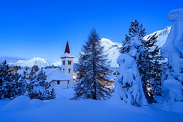 Chiesa Bianca and trees covered with snow at dusk, Maloja, Bregaglia, Engadine, Graubunden Canton, Switzerland, Europe