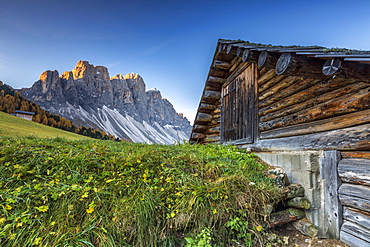 The sunrise over the Odle group from Malga Gampen in the Dolomites, South Tyrol, Italy, Europe