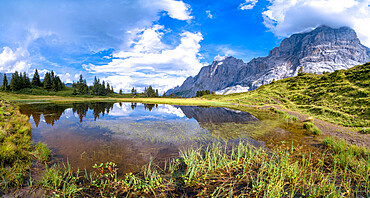 Panoramic of Grosse Scheidegg Pass and Wellhorn mountain in summer, Grindelwald, Bernese Alps, Canton of Bern, Switzerland, Europe