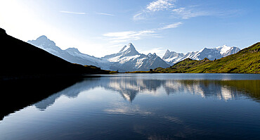 Schreckhorn mountain reflected in Bachalpsee lake at dawn, Grindelwald, Bernese Oberland, Bern Canton, Switzerland, Europe