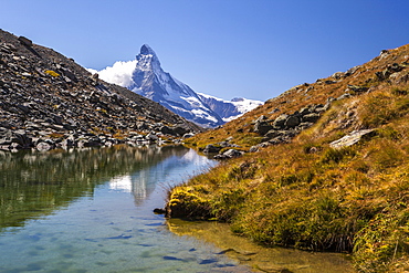 The Matterhorn at dawn seen from Stellisee, Zermatt, Canton of Valais, Pennine Alps, Swiss Alps, Switzerland, Europe