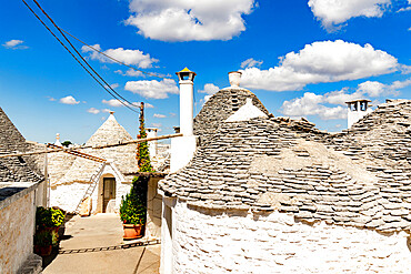 Traditional whitewashed Trulli houses, Alberobello, UNESCO World Heritage Site, province of Bari, Apulia, Italy, Europe