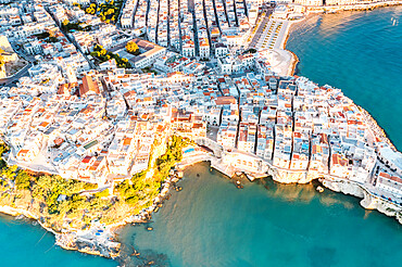 Aerial view of white buildings of Vieste by the crystal sea, Foggia province, Gargano National Park, Apulia, Italy, Europe