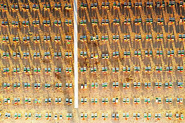 Aerial view of rows of lounge chairs and sunbeds on empty sand beach, Vieste, Foggia province, Gargano, Apulia, Italy, Europe