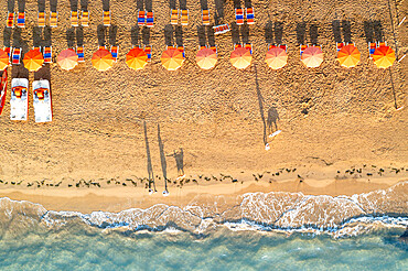 Aerial view of sunshades in a row on sand beach washed by the crystal sea, Vieste, Foggia province, Gargano, Apulia, Italy, Europe