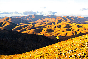 Man on ridge admiring sunset over the volcanic landscape near Sicasumbre viewpoint, Fuerteventura, Canary Islands, Spain, Atlantic, Europe